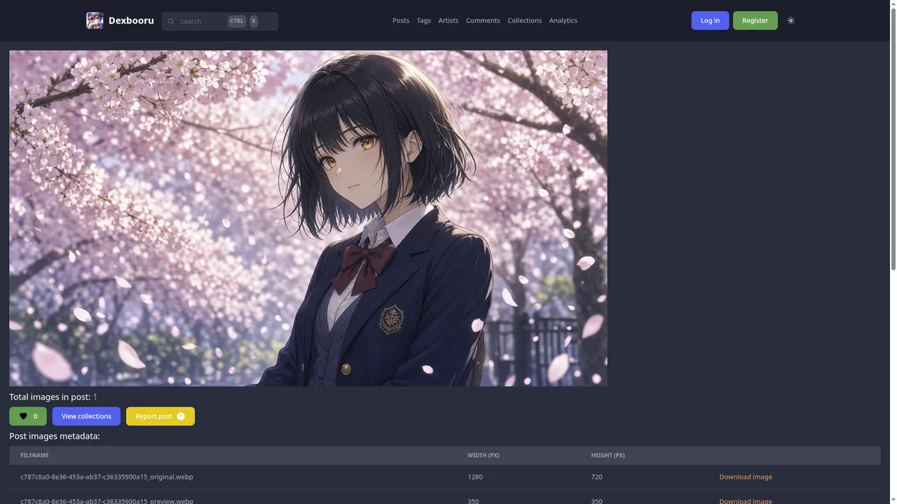 Post detail page with image, tags, metadata, and comments